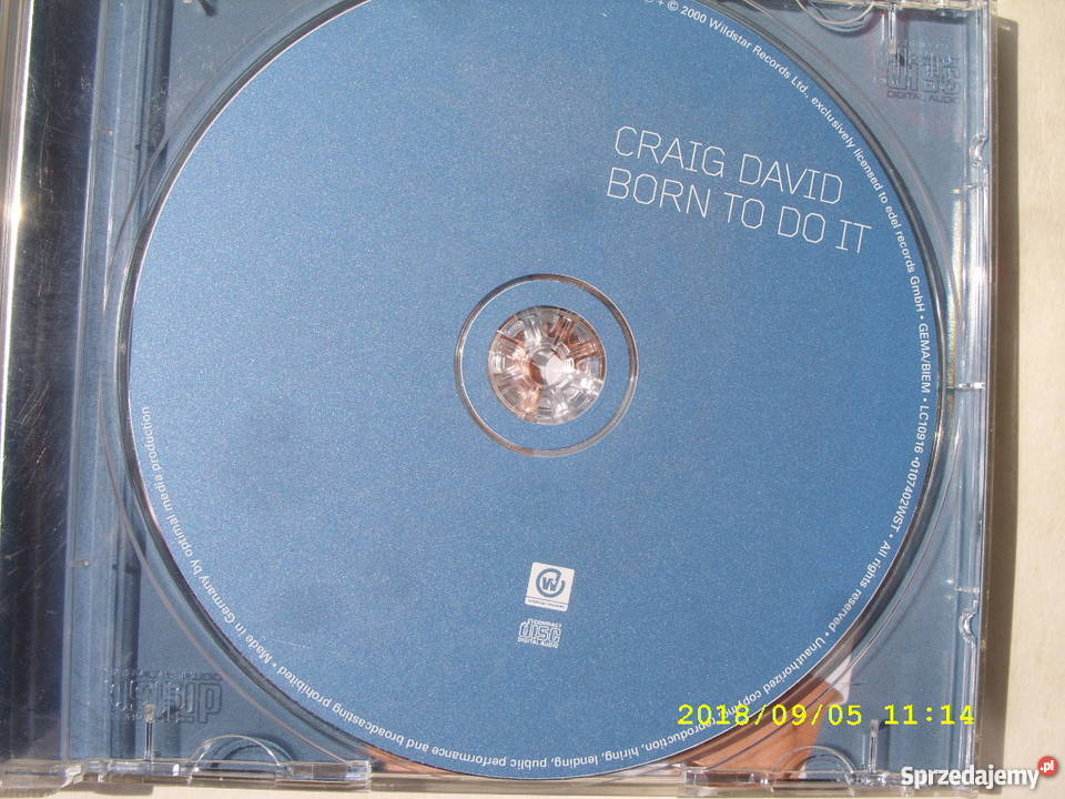 POP CRAIG DAVIDBorn to do it plyta CD Wołów
