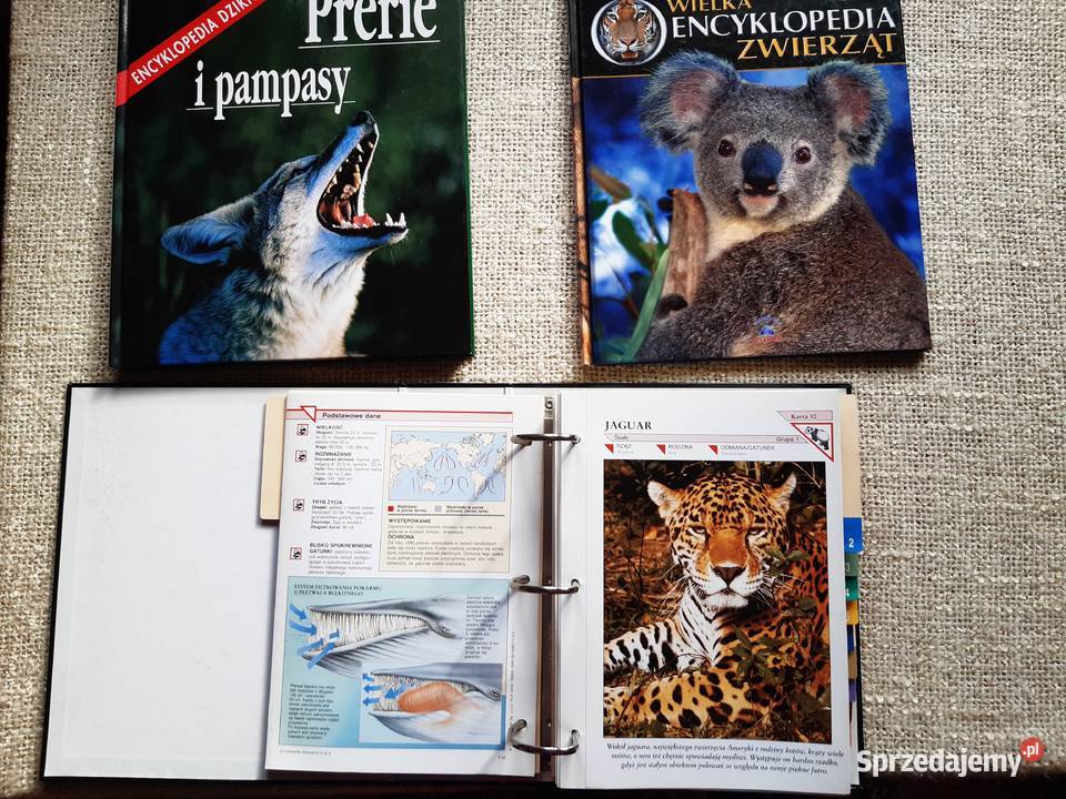 Plus Segregator z kartami zwierząt 2 Albumy Kraków sprzedam