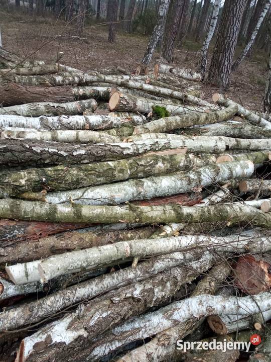 Drewno opałowe Włocławek