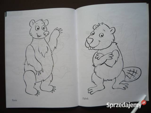 Niebieski smok poradnik dorosłych 2 DVD Szczecin