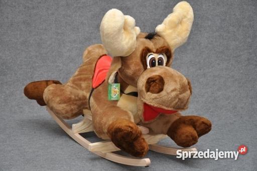 łoś na biegunach Bydgoszcz