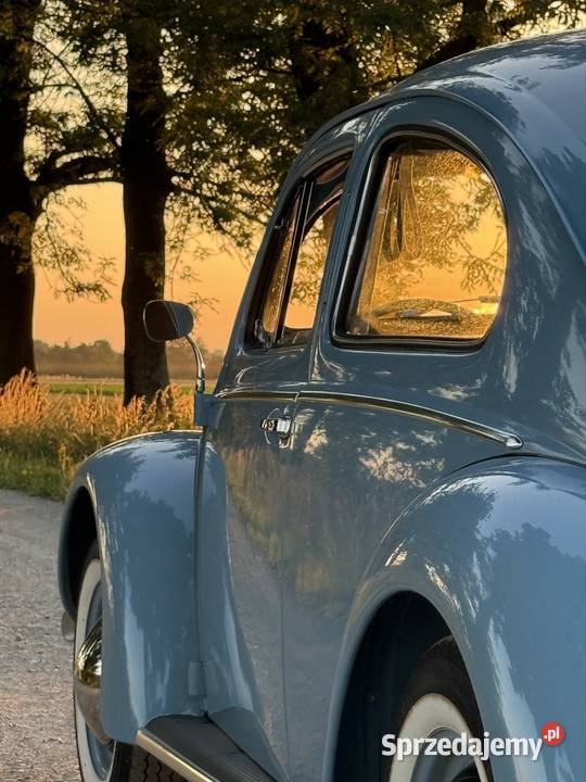Volkswagen Garbus Oval 1954 małopolskie Olesno sprzedam