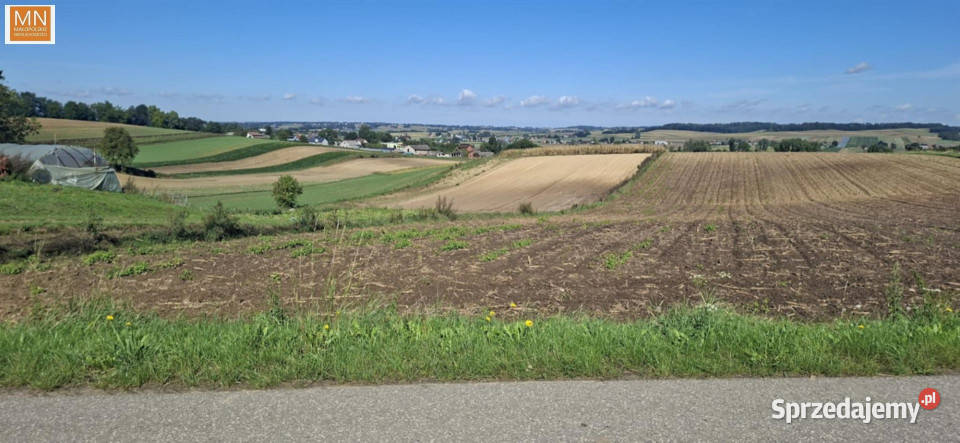 Grunt 12142m2 Koszyce asfalt sprzedam