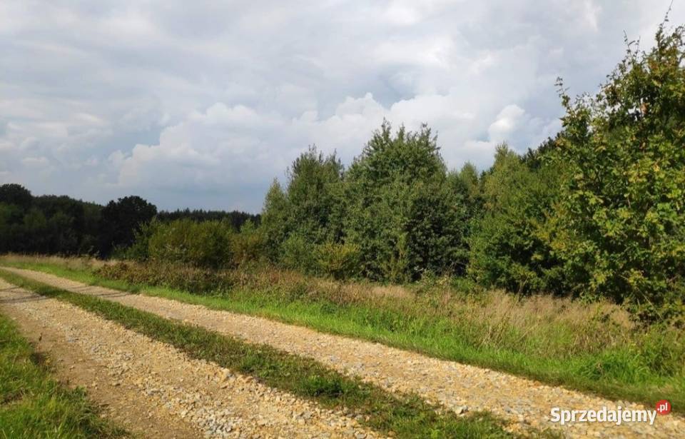 Działki na sprzedaż Brzesko 50 a Poręba Spytkowska sprzedam