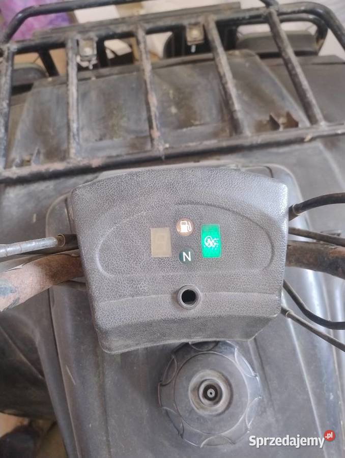 Quad 250 250cm3 Gostycyn sprzedam