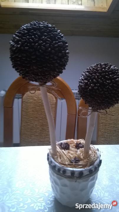 Drzewko ozdobne z kawy ziarnistej piekna ozdoba Witkowice