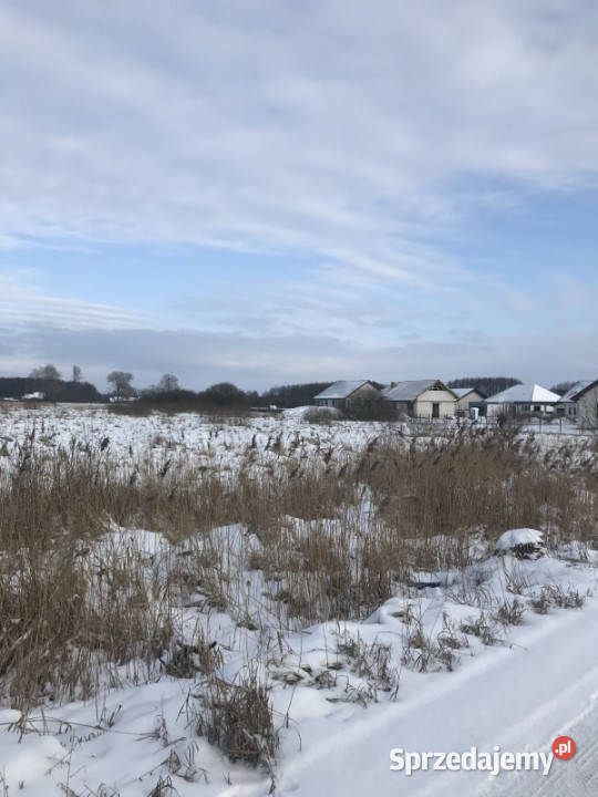 Działka budowlana Stargard Zarowo Żarowo