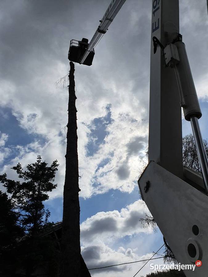 Wynajem Podnośnik Koszowy Zwyżka 20m Iveco Bielsko-Biała