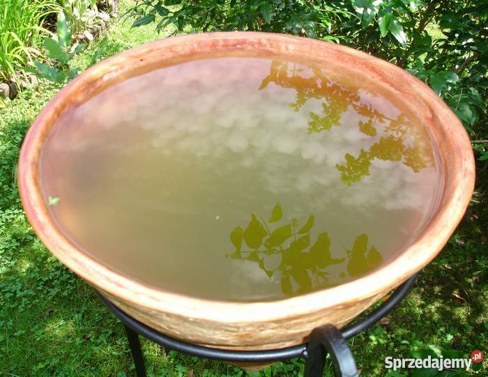 Donica ceramiczna mrozoodporna 40x40 Sprzedam dolnośląskie Jelenia Góra