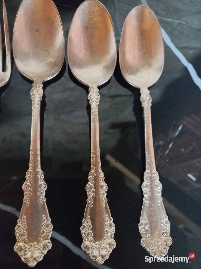 Sztućce Rogers Brother Pozostałe