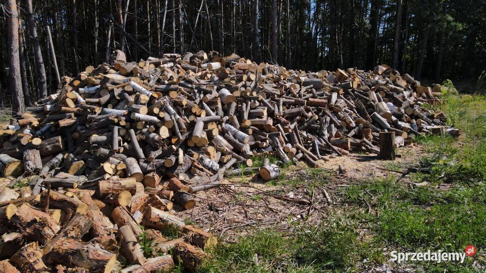 Drewno na sprzedaż Białobrzegi sprzedam