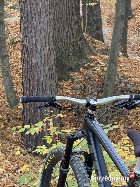 Rower Trek remedi 8 Bochnia