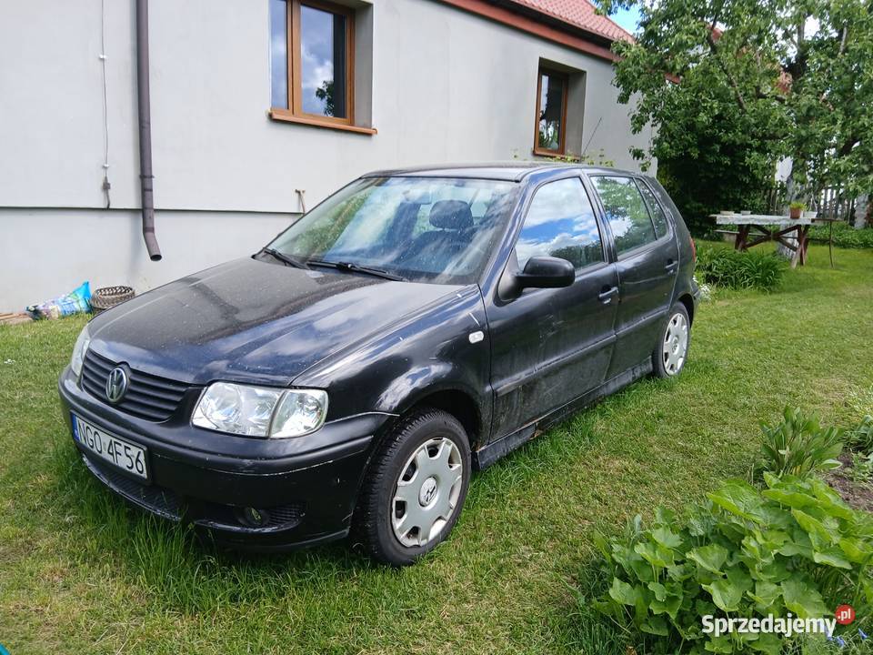 WV Polo 4 drzwi ubezpirczony ma badania Samochody osobowe Gołdap