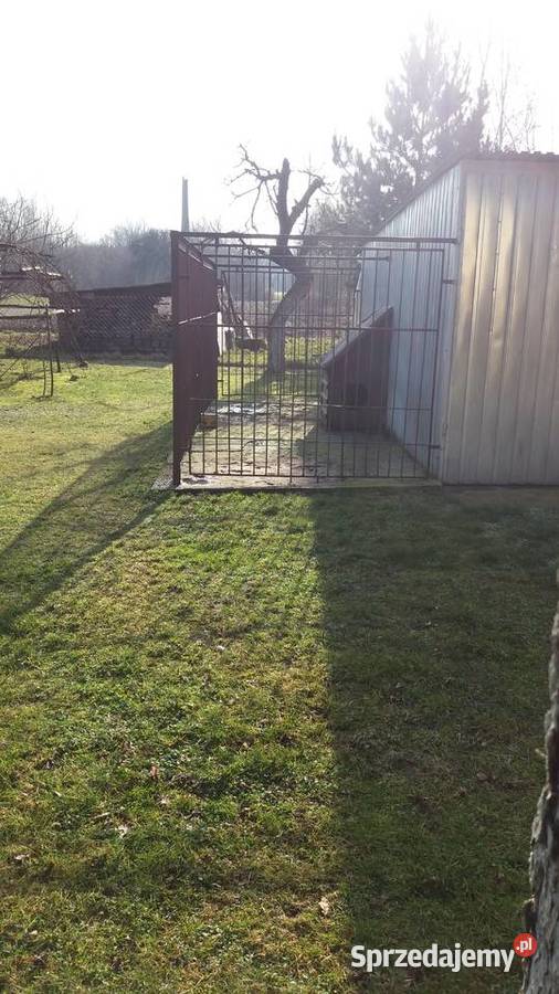 KOJEC PSA 5mx1 8mx1 8m PASUJE DO BLASZAKA