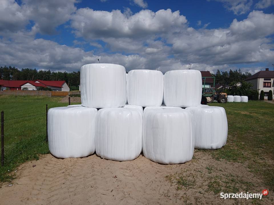 Bele sianokiszonki podlaskie Ciechanowiec sprzedam