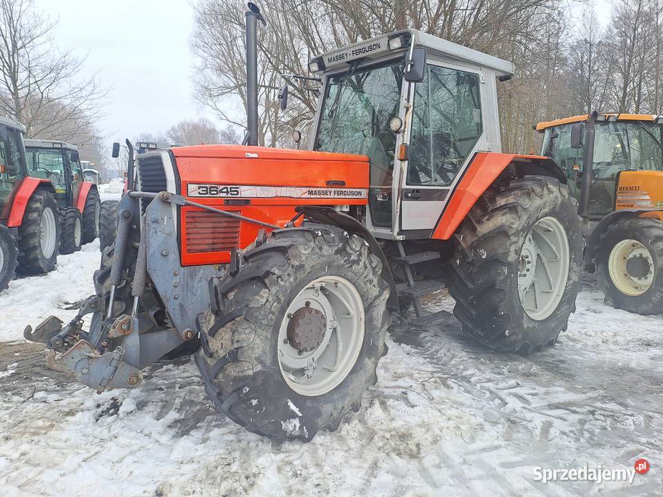 Massey Ferguson 3645 lubelskie Ruda-Huta