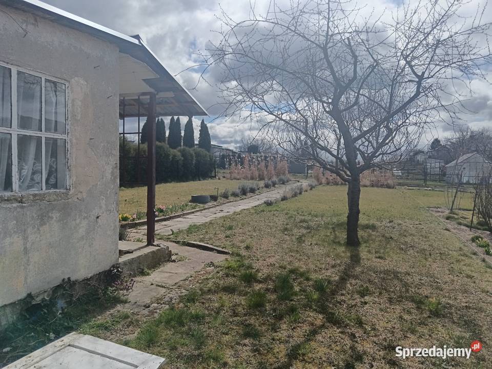 Działka ROD Polpharma Wynajem pomorskie Starogard Gdański