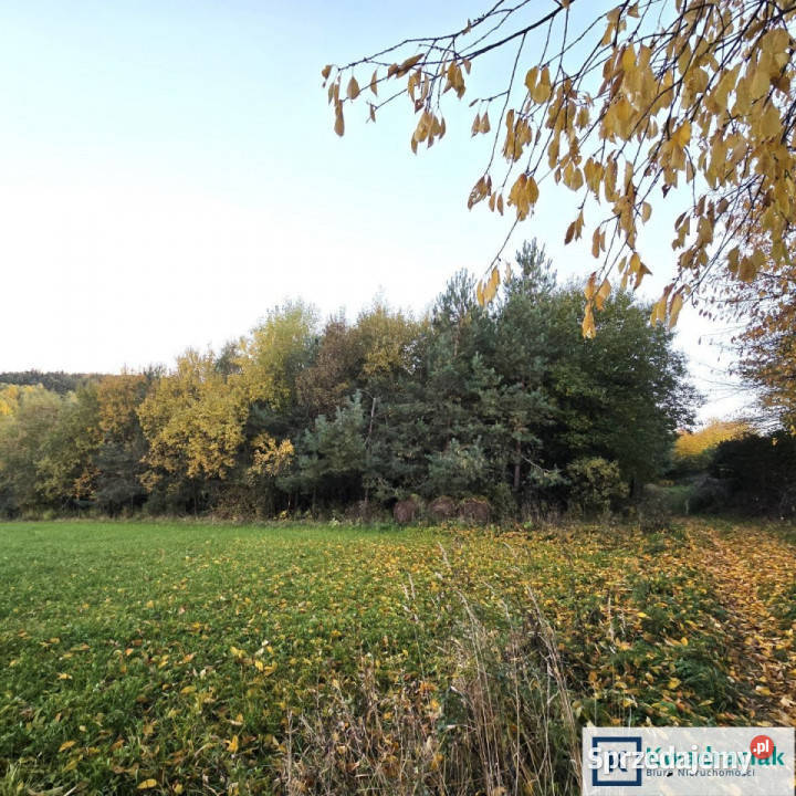 Działka 57900m2 Wolica podkarpackie