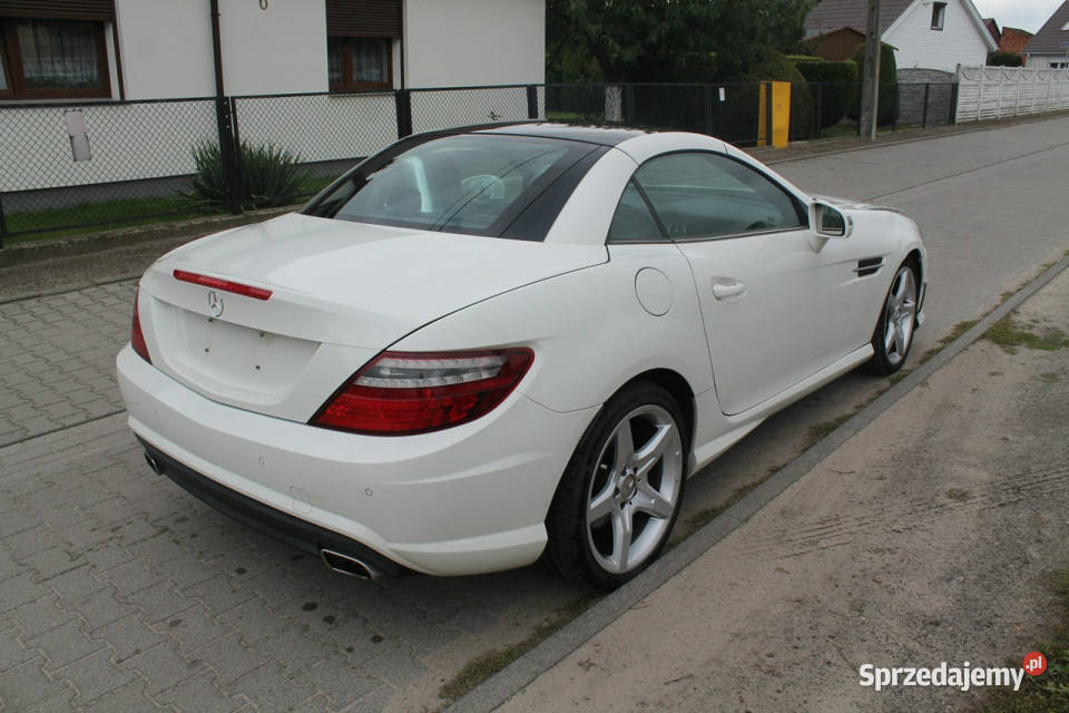 Mercedes SLK 250 R172 2011 Mercedes-Benz Ostrów Wielkopolski