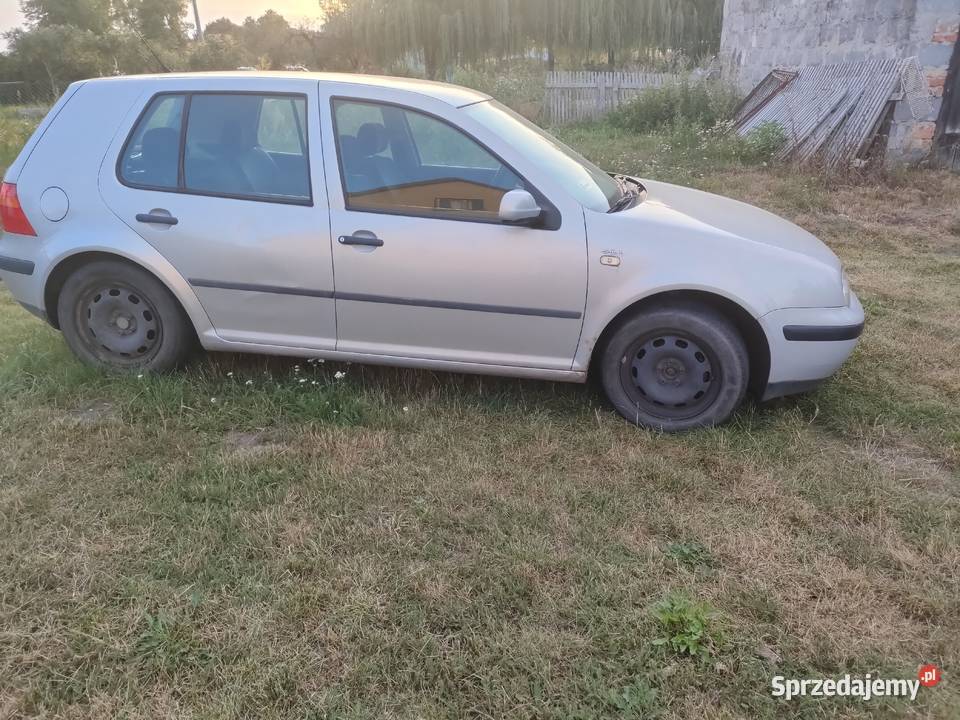 Volkswagen Golf 4 pomorskie Kwidzyn