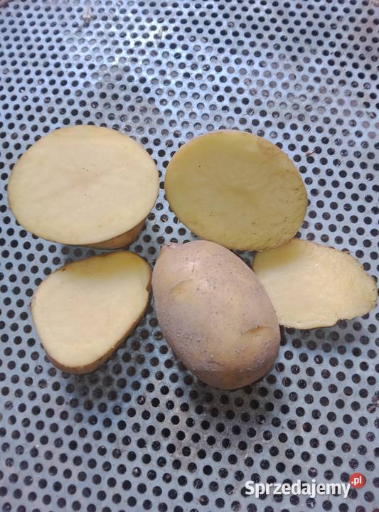 Ziemniak Bio Organic Certyfikowany Zwoleń