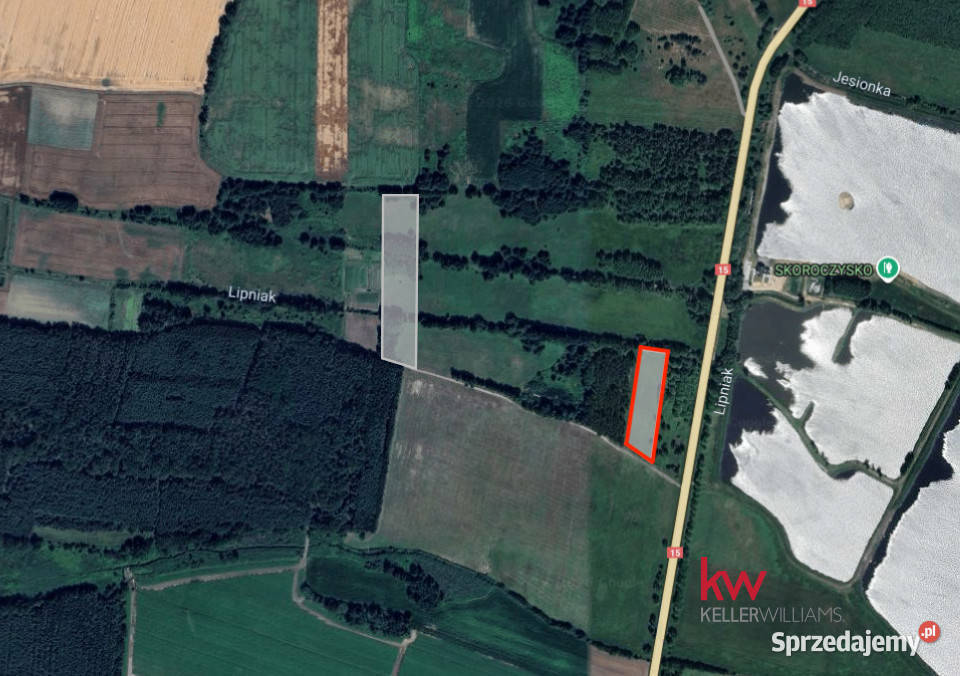 Działka 6850m2 Kuźniczysko