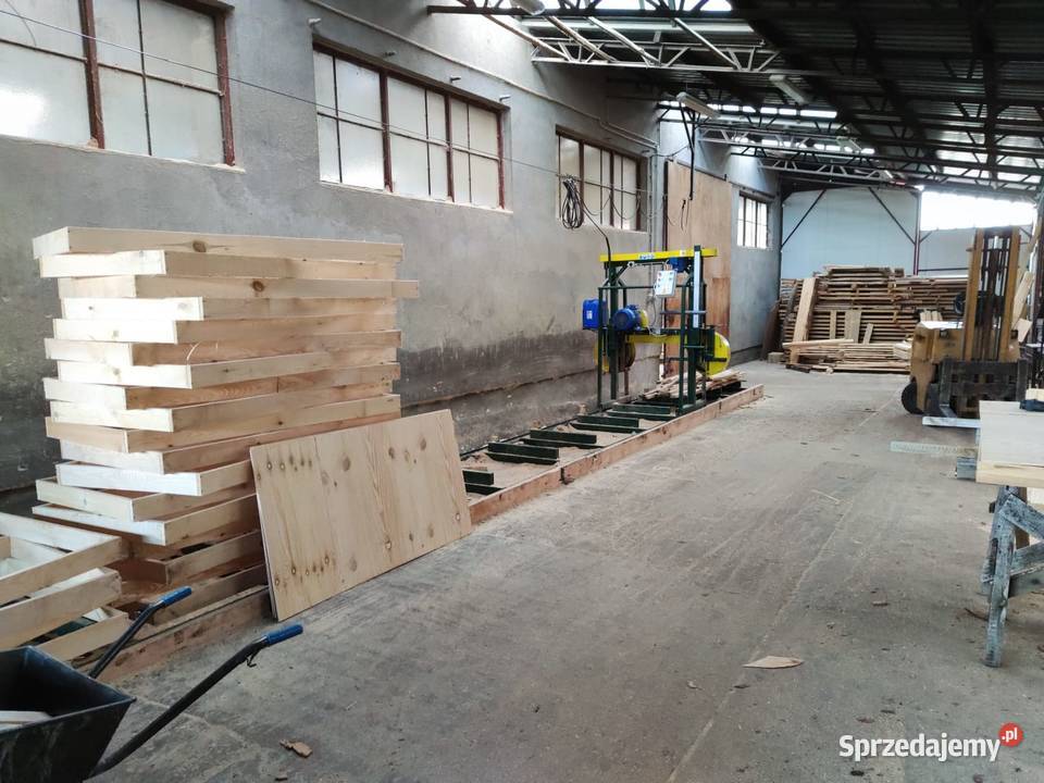 OKAZJA Certyfikowany Trak Taśmowy 80 Polski Łąck sprzedam