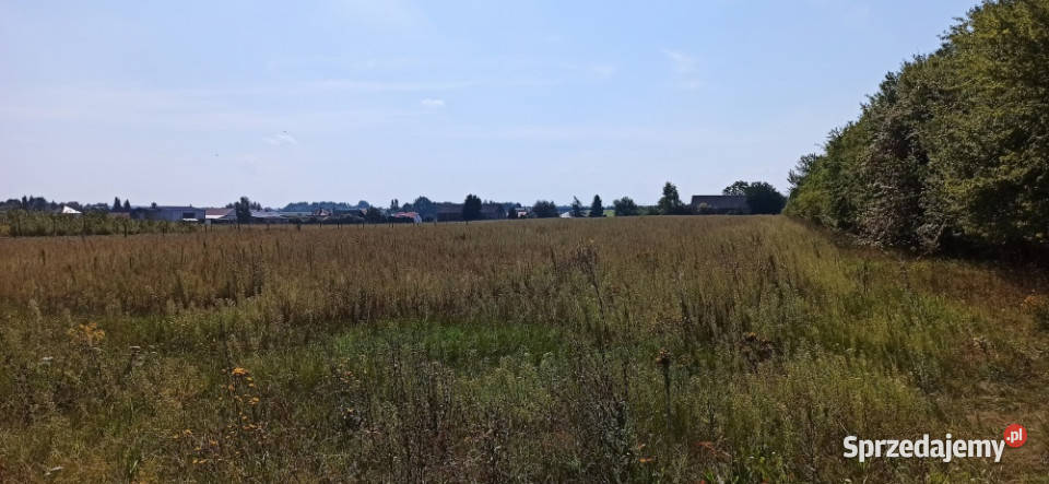 Siemiatycze Żeromskiego DZIAŁKA BUDOWLANA