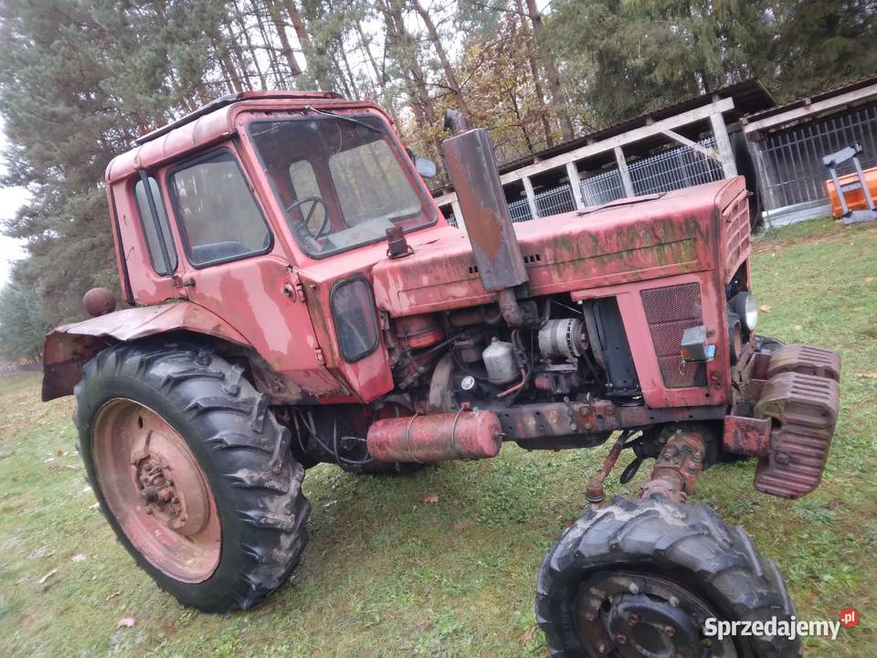 Mtz 82 belarus 4x4 Ciągniki Gwizdów