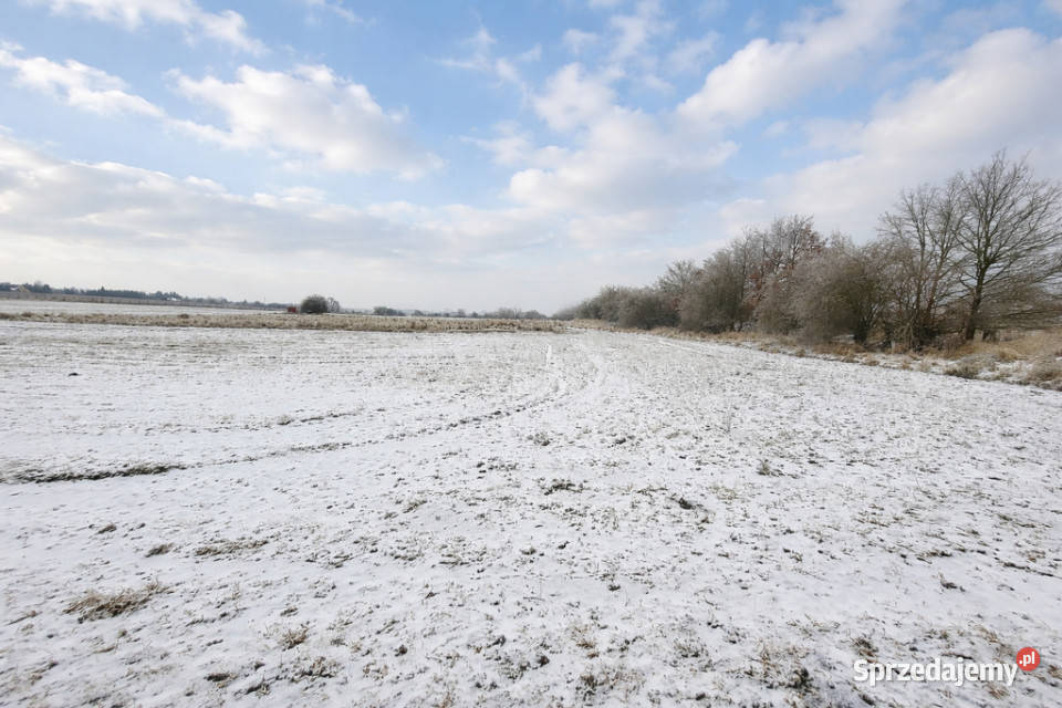 Działka pod hale magazynowo produkcyjną handlowo-usługowa