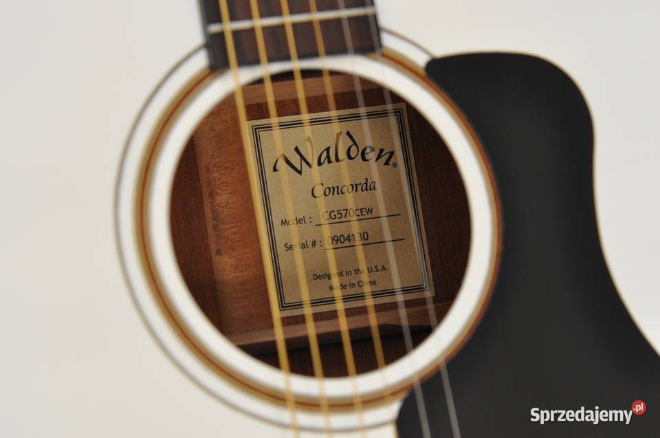 Gitara elektroakustyczna WALDEN Concorda Pozostałe Szczecin