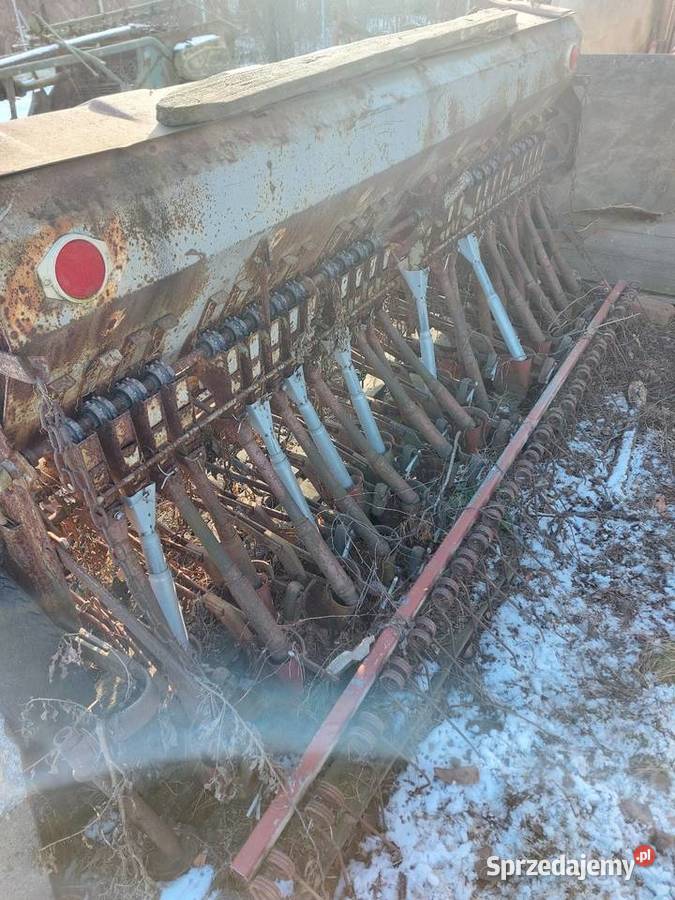 Siewnik dolnośląskie Wilków Wielki