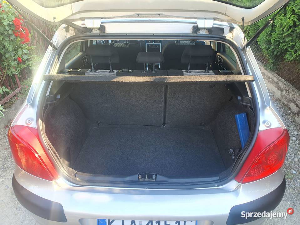 PEUGEOT 307 14 BENZYNA 2006 Łęg Tarnowski