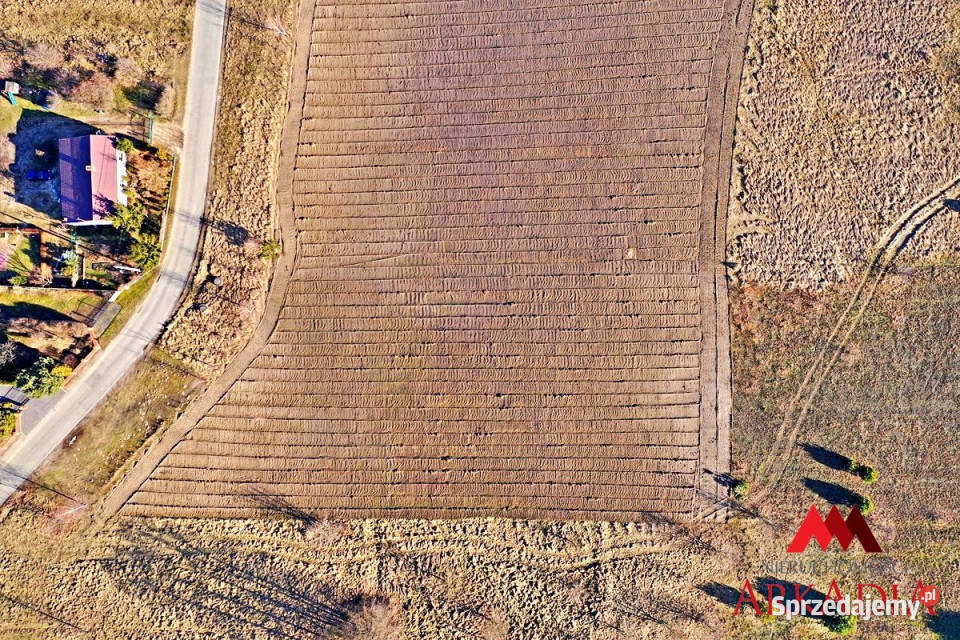 Działka Modzerowo 3010m2 3010m2 kujawsko-pomorskie sprzedam