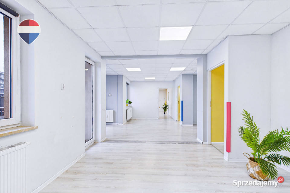 Na sprzedaż lokal usługowy pow 14461 m Zielona Góra