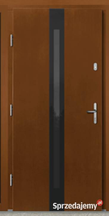DRZWI DREWNIANE 1000 x 2100 IZAR AFROMOZJA Drzwi zewnętrzne Łask