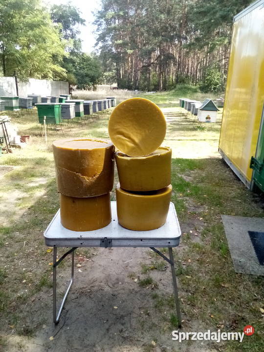 Naturalny wosk pszczeli Pozostałe Śrem sprzedam