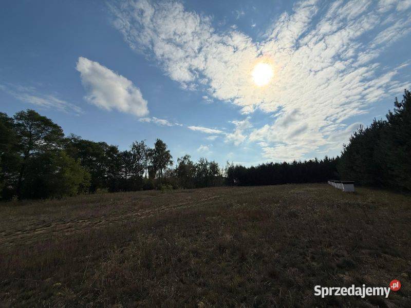 Piękna działka z warunkami zabudowy idealna pod mazowieckie Szczawin Kościelny sprzedam
