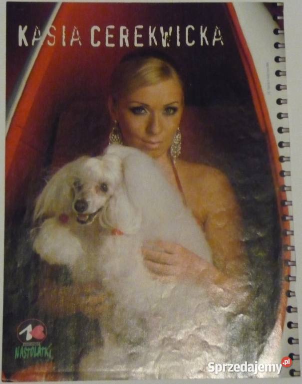 PLAKATY CEREKWICKA KASIA WYPRZEDAŻ ŚWIAT Bydgoszcz