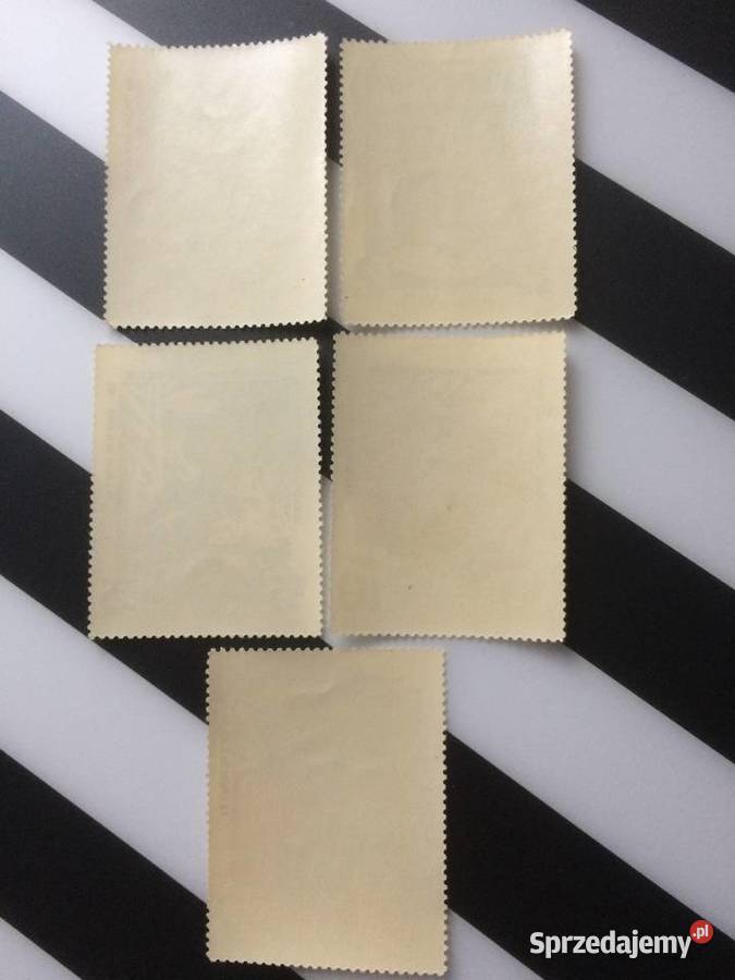 1007 Cegiełki Budujemy Nowy Ogród Zoologiczny sprzedam