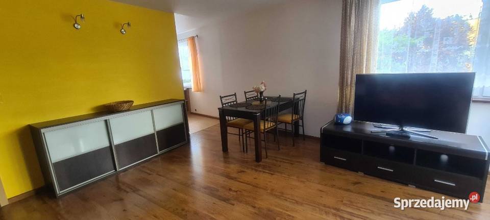 Mieszkanie do wynajęcia piwnica śląskie sprzedam