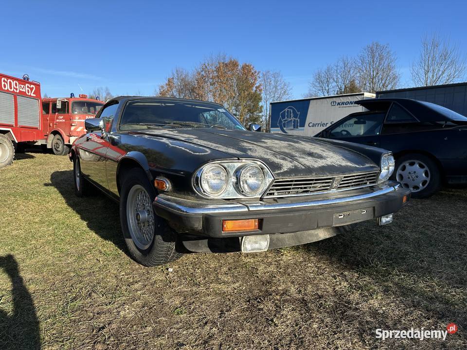JAGUAR XJ12 53i Bliżyn