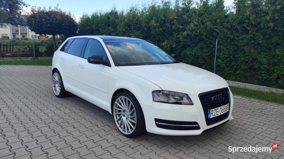 Audi A3 8P 20TDI 140 ASR (kontrola trakcji) Rzeszów sprzedam
