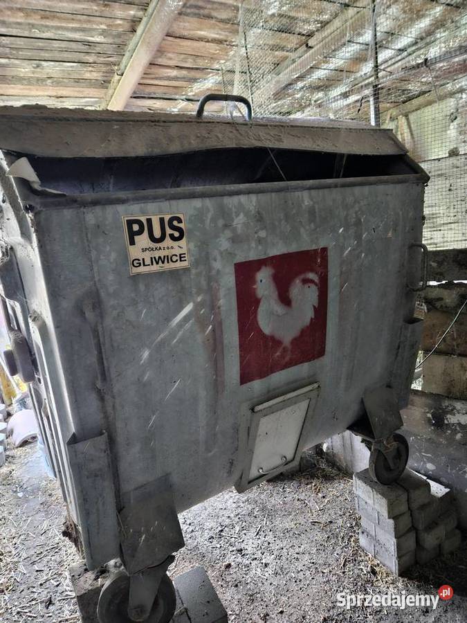 Paszociag karmić kury Gliwice