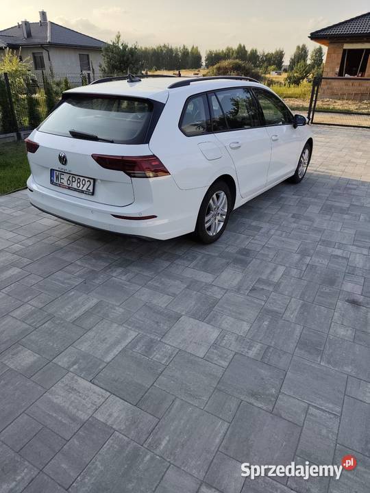Golf VIII 10 Evo biały Turek