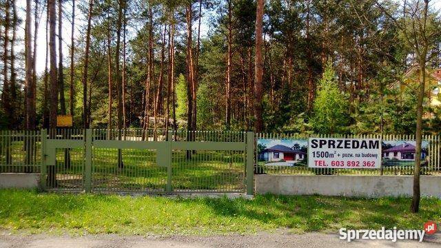 grunt do sprzedaży 1500m Wrzosów Międzyborów