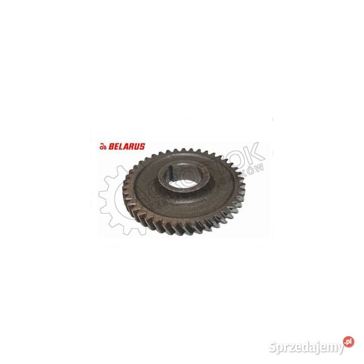 Koło zębate wału korbowego mtz duże z42 oryginał Parczew