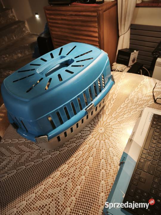 klatka kota w stanie Marki