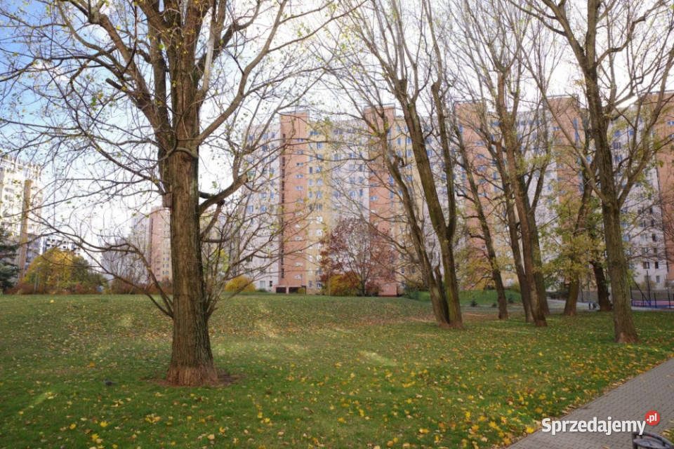 Bezpośrednio sprzedam mieszkanie 696 m2