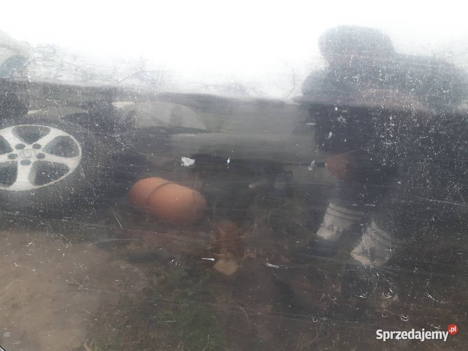 Drzwi PT Avensis T25 Kombi 209 osobowe Sandomierz